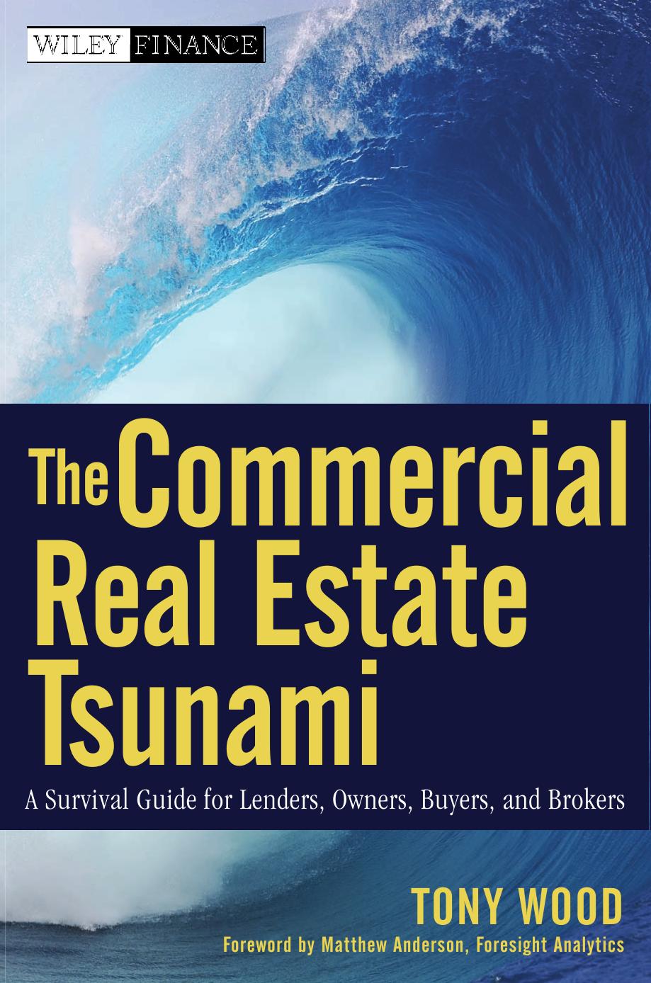 The Commercial Real Estate Tsunami: A Survival Guide for Lenders, Owners, Buyers, and Brokers