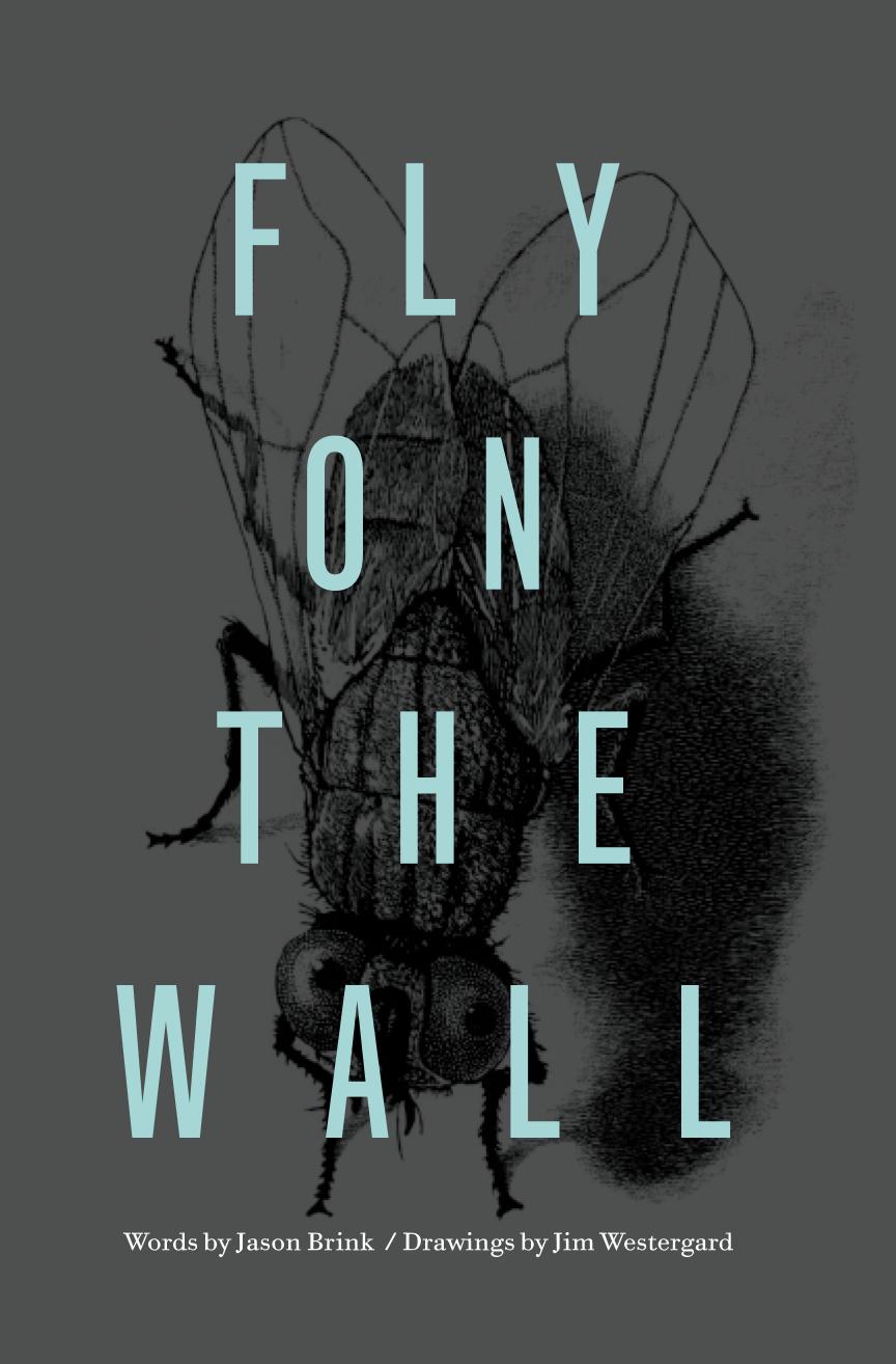 Fly on the Wall