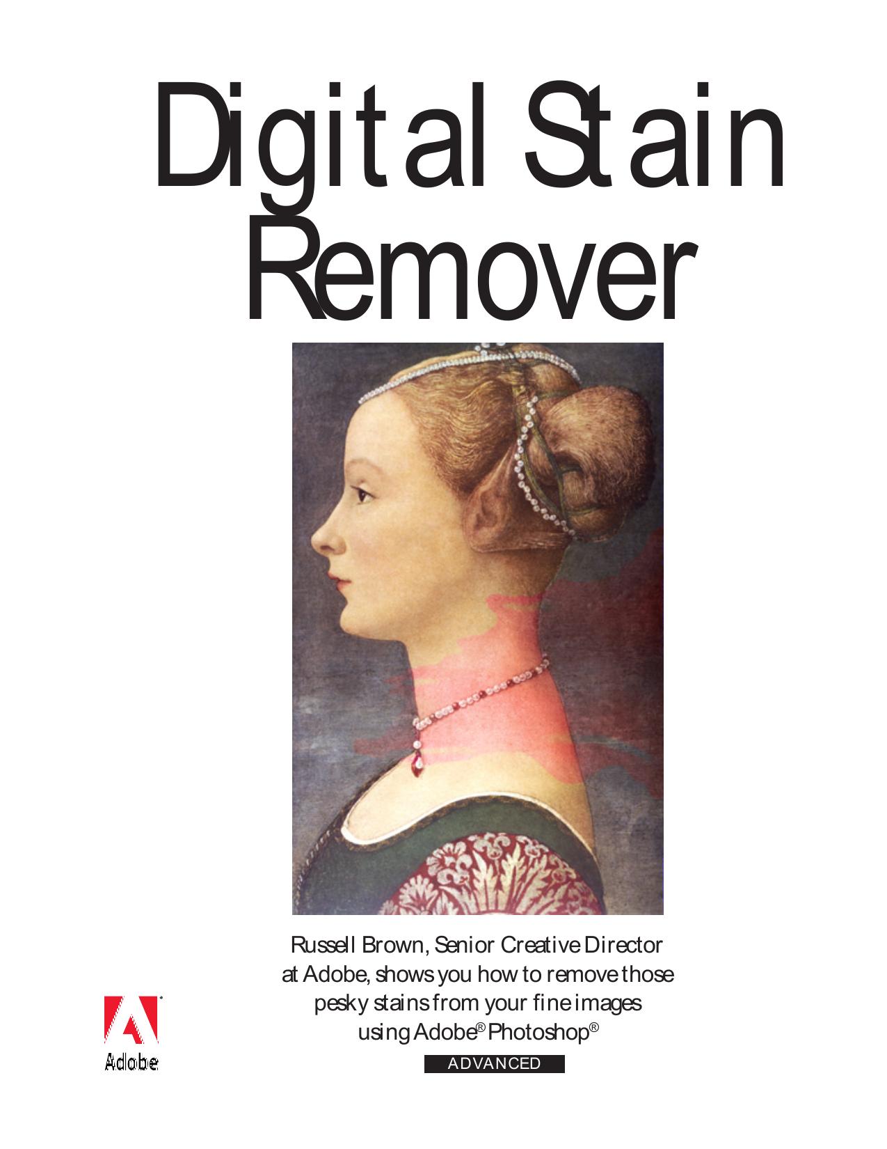 Digital Stain Remover
