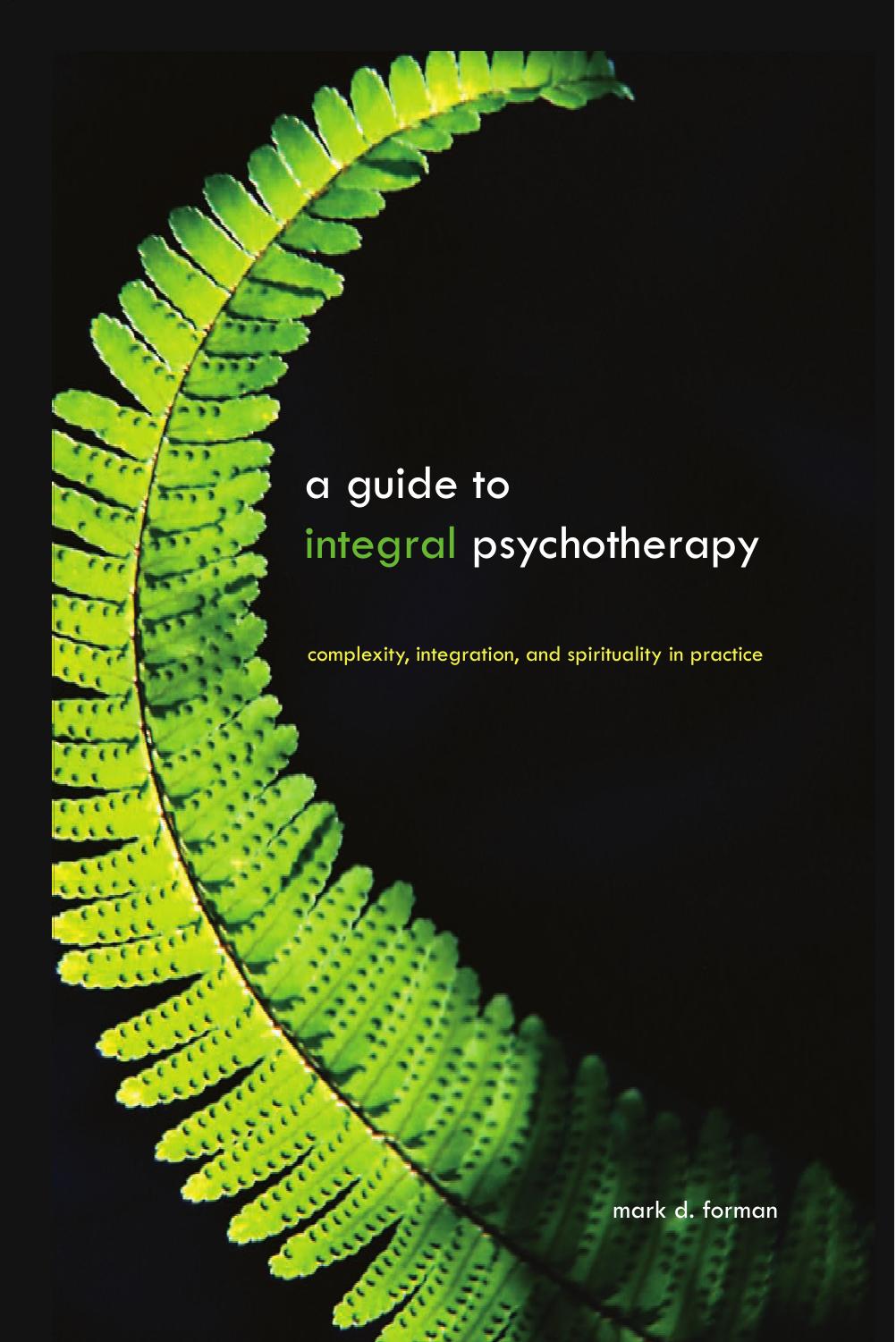 A Guide to Integral Psychotherapy: Complexity, Integration, and Spirituality in Practice (Suny Series in Integral Theory)